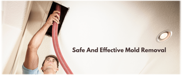 Air Duct Mold Removal in Woodlands TX