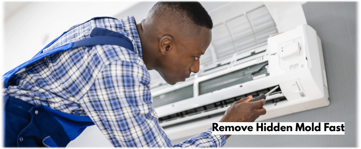 HVAC Mold Removal Woodlands TX